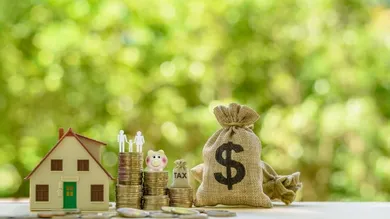 shutterstock_1339247114 (1)