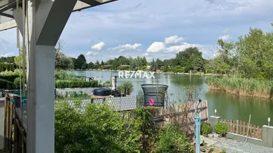 SEEBlick