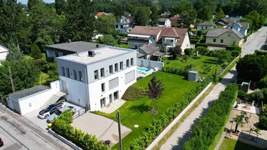 Bisambergblick