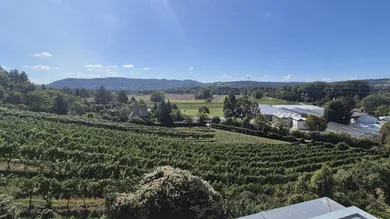 Fernblick