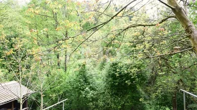 Ruhiger Traumplatz