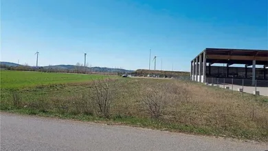 jpg
