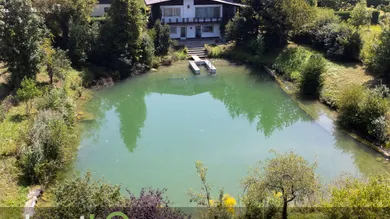 Drohnenblick