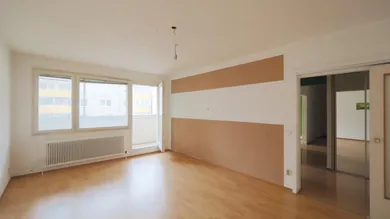 P1010066