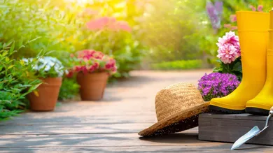 Symbolbilder_AdobeStock_VENTA_10