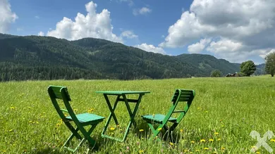 Ihr Platz im Grünen