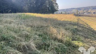landw. Fläche