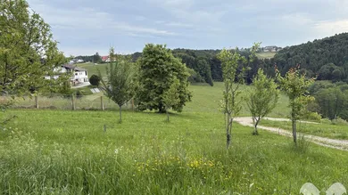 Grundstück