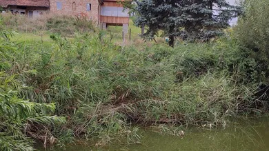 IMG_20220823_191959