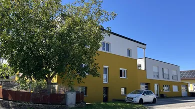 image_50428417