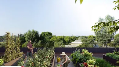 V2C9_urban_gardening