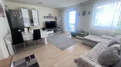 Wohnzimmer 2