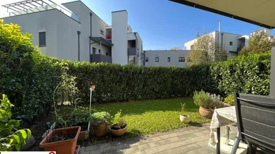 Terrasse..