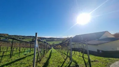 Ansicht