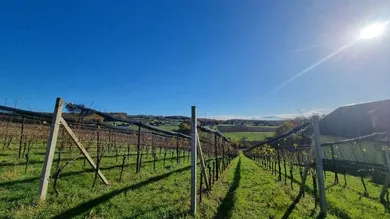 Aussicht