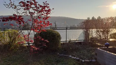 Gartenterrasse 2