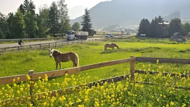 Aussicht Südost