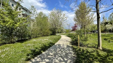 Fußweg Park