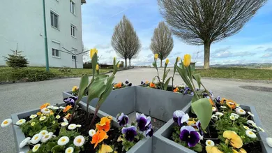 Zufahrt Parkplätze