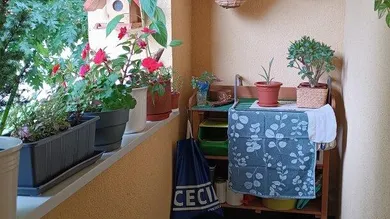 Loggia