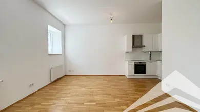 Wohnzimmer | Küche