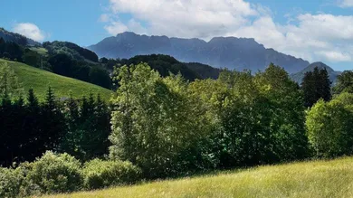 GRUNDSTÜCK