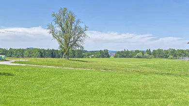 Eugendorf Reitberg Blick zur Grünzone