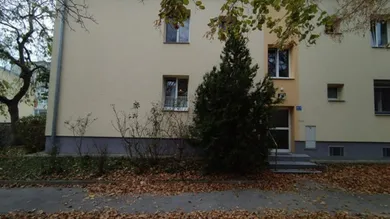 Slide 1