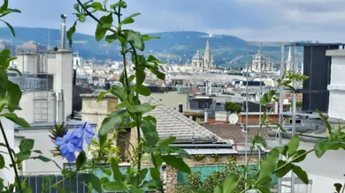 Atemberaubender Ausblick von der Terrasse im OG