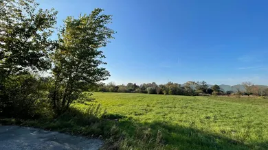 Betriebsgrundstück