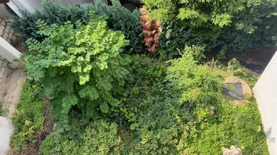 Blick von oben auf den Garten