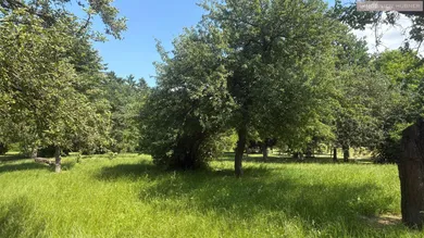 Grünflächen,..