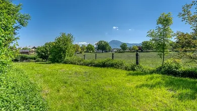 HP1-Grundstück-mit-Altbestand-Maxglan-Aussicht-Gaisberg