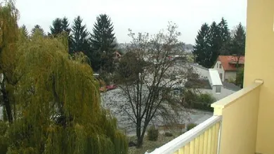 Ausblick