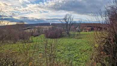 Anwesen bei Cazma 10.000 m2 - 7