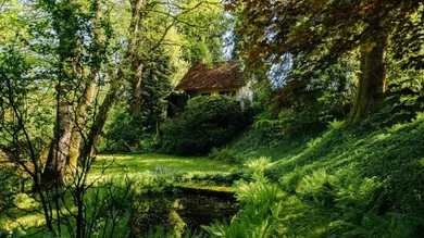 Garten 02