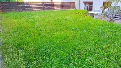 001 Garten 2