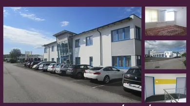 Slide 1