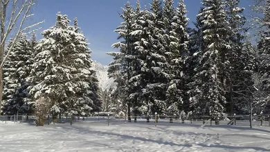 Winterlandschaft