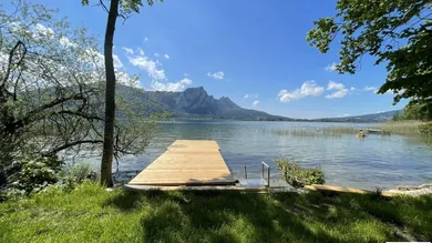 Bild1