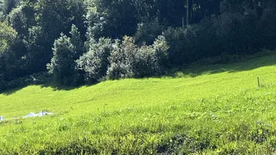 Baugrund