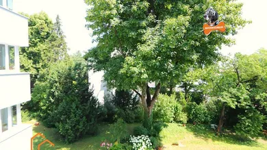 Aussicht in den herrlichen Garten