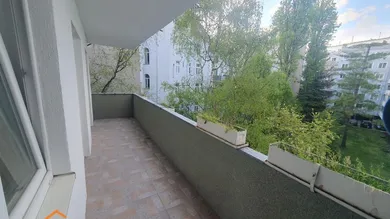 20230425_185613.jpg
