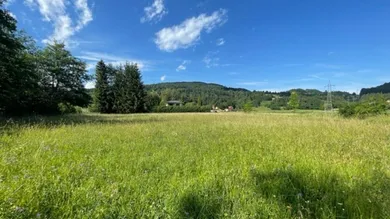 Schöne landwirtschaftliche Flächen mit 3.208m² - Nähe Hafnersee - Kein Baugrund!