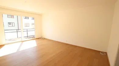 Schöne und sonnendurchflutete 3 Zi Wohnung mit Loggia in Klagenfurt - Feldhofgasse