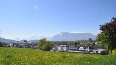 Ansicht