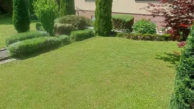 Haus mit Garten