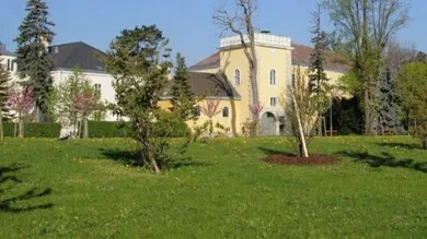 Umfeld