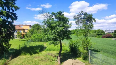 Gemeinschaftsgarten