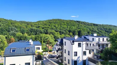 Ausblick